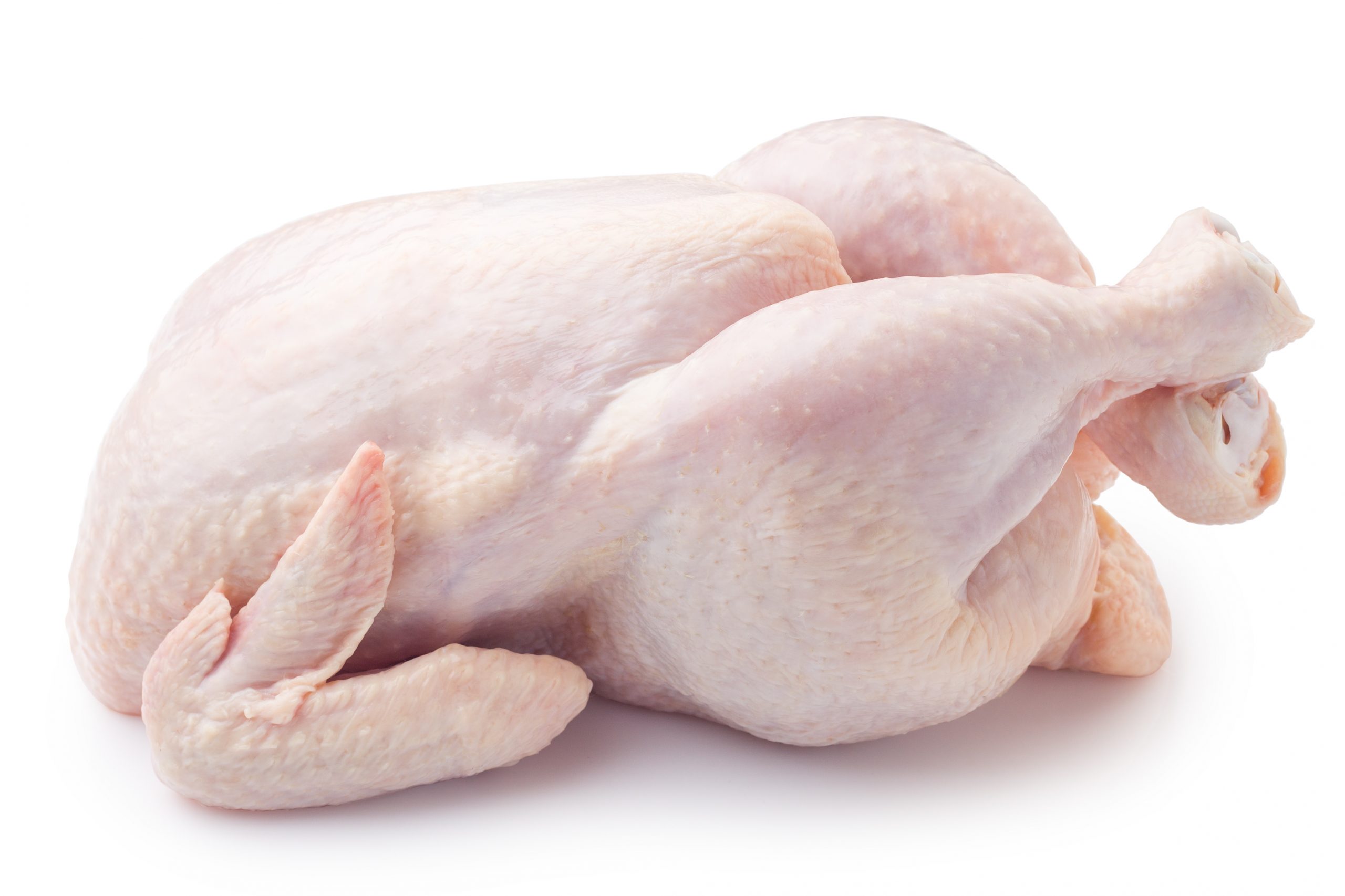 Chicken BB